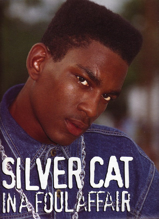 Silver Cat (2) : In A Foul Affair (LP, Album)
