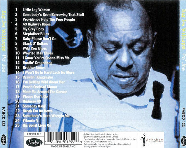 Big Joe Williams : Po' Joe (CD, Comp)