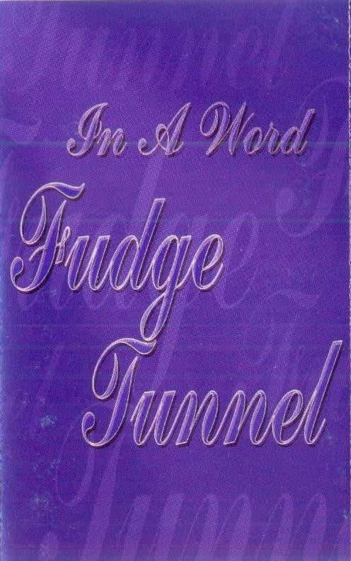Fudge Tunnel : In A Word (Cass, Comp)