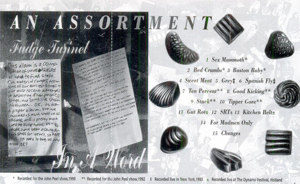 Fudge Tunnel : In A Word (Cass, Comp)