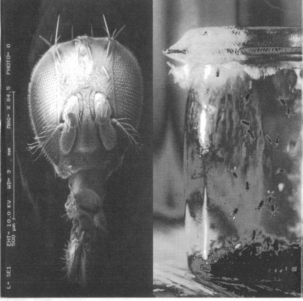 Alice In Chains : Jar Of Flies (CD, EP, RE, RP, DAD)