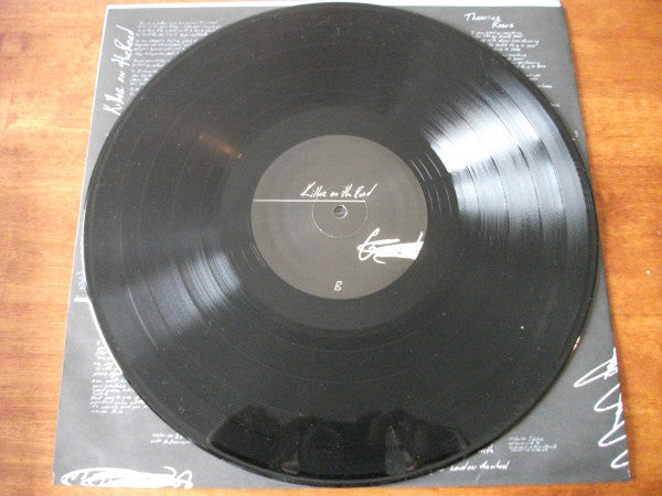 Brandon L. Butler : Killer On The Road (LP, Album)